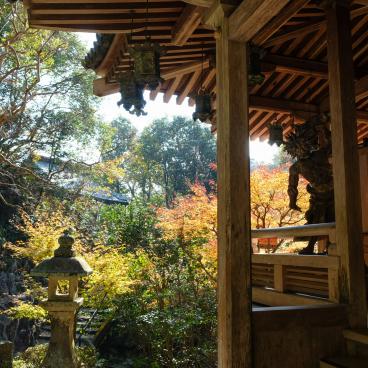 Mitaki-dera (Hiroshima), Kongo-rikishi wooden statue (nyo deity) 2