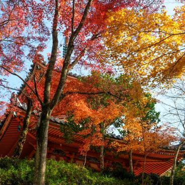 Mitaki-dera (Hiroshima), Tahoto Pagoda and maple trees (momiji) in autumn 2