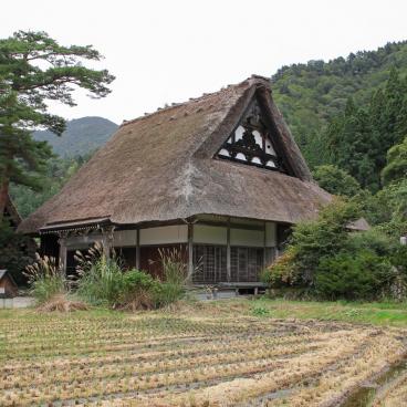 Myozen-ji (Shirakawa-go), rice paddy