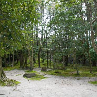 Isui-en (Nara), Vegetation 3