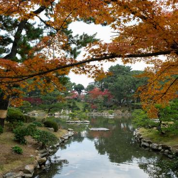 Shukkei-en Garden (Hiroshima), beautiful maple trees in autumn