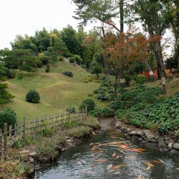 Shukkei-en Garden (Hiroshima), koi carps pond