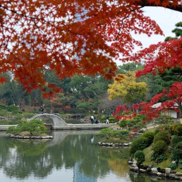 Shukkei-en Garden (Hiroshima), beautiful maple trees in autumn 2