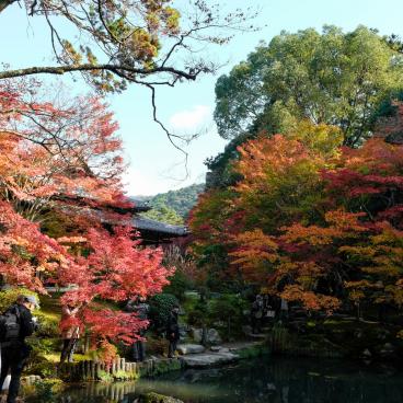 Tenju-an (Kyoto), View on the garden in autumn