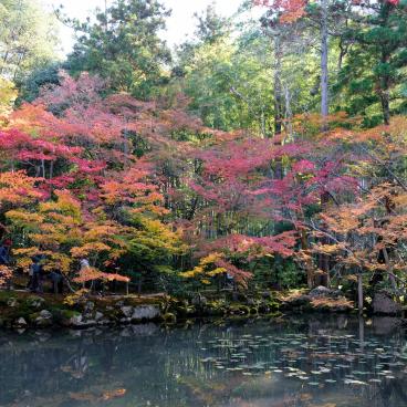Tenju-an (Kyoto), View on the garden in autumn 3