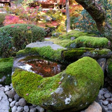 Tenju-an (Kyoto), Fountain in the garden