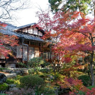 Tenju-an (Kyoto), View on the garden and the pavilion 3