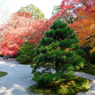 Tenju-an (Kyoto), karesansui garden in autumn 2