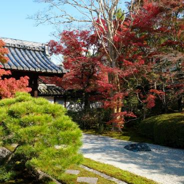 Tenju-an (Kyoto), karesansui garden in autumn 3