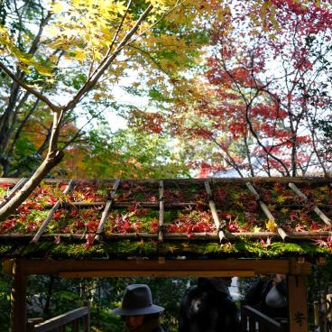 Tenju-an (Kyoto), South garden gate