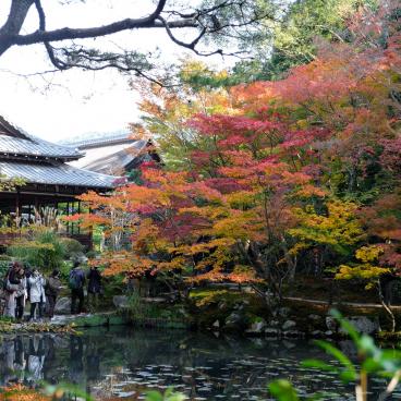 Tenju-an (Kyoto), View on the garden in autumn 2