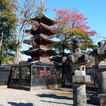 Ueno Toshogu, pagoda and lantern