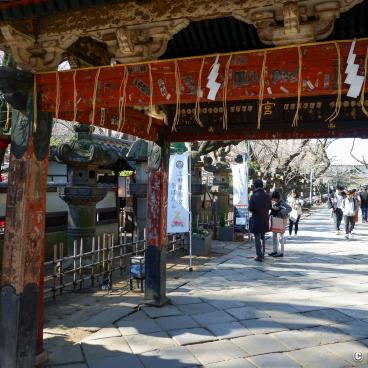 Ueno Toshogu, entrance to the shrine