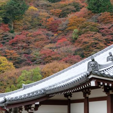 Yoshimine-dera (Kyoto) in autumn