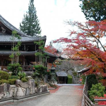 Yoshimine-dera (Kyoto), beautiful maple trees in autumn