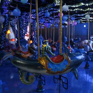 Aqua Park Shinagawa, Dolphin Party roundabout