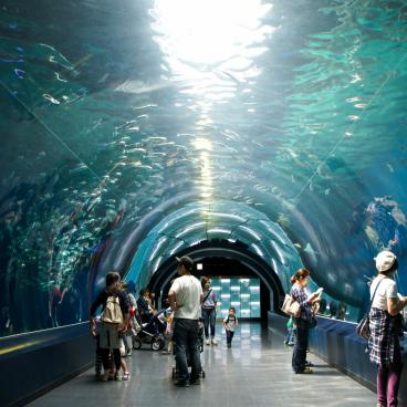 Aqua Park Shinagawa, Water Tube