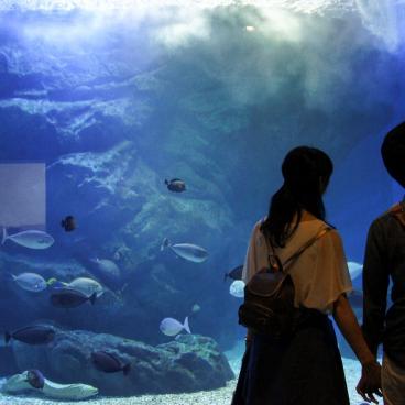 Aqua Park Shinagawa, A couple in Water Tube