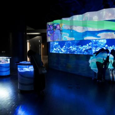 Aqua Park Shinagawa, Coral environment water tanks