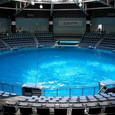 Aqua Park Shinagawa, The Stadium