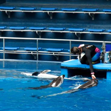 Aqua Park Shinagawa, The Stadium 2