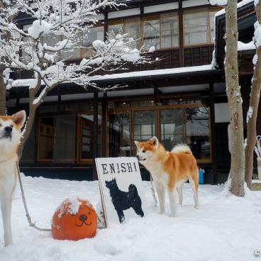 Entrance of Enishi residence in Kakunodate with two Akita-dogs