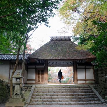 Honen-in (Kyoto), Traditional gate of the temple