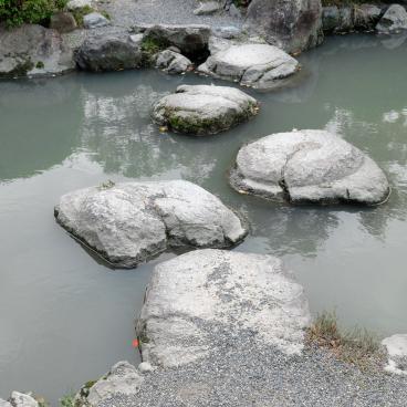 To-ji in Kyoto, pond in the Japanese garden