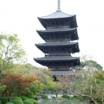 To-ji in Kyoto, 5-story Pagoda at the beginning of autumn 2