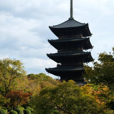 To-ji in Kyoto, 5-story Pagoda at the beginning of autumn