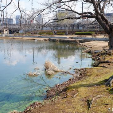 Mito (Ibaraki), Lake Senba and Park 3