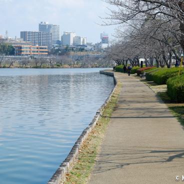 Mito (Ibaraki), Lake Senba and Park 4