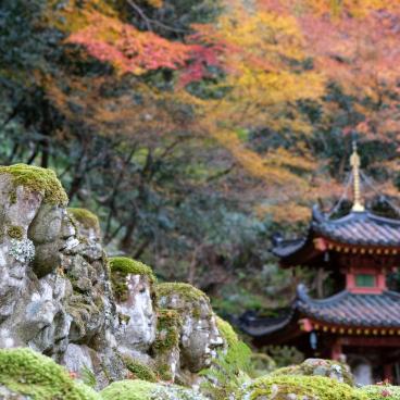 Otagi Nenbutsu-ji (Kyoto) in autumn 3