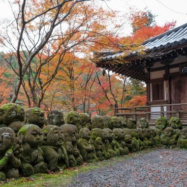 Otagi Nenbutsu-ji (Kyoto) in autumn 4