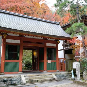 Otagi Nenbutsu-ji (Kyoto), Temple's gate