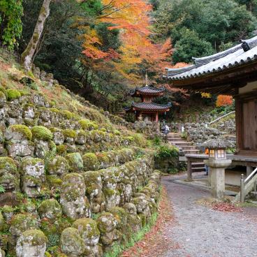 Otagi Nenbutsu-ji (Kyoto), Rows of Rakan statues around the main pavilion