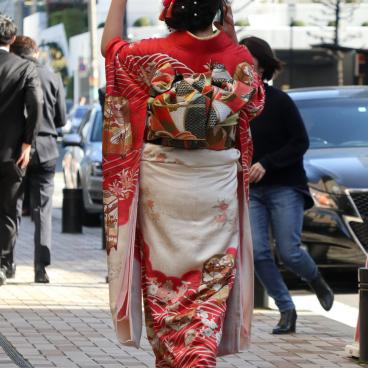 Young Japanese women wearing furisode kimono for Seijin no Hi 4