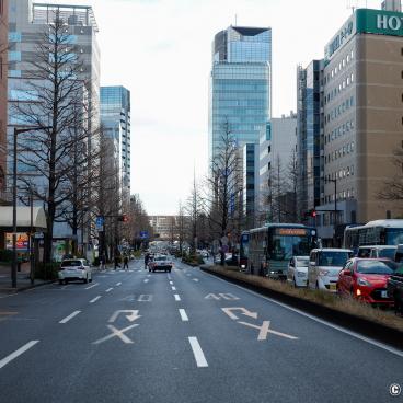 Sendai, Hirose Dori avenue