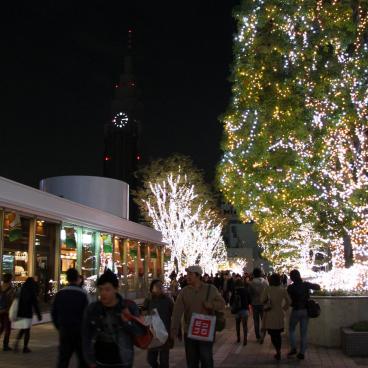 Illuminations and shops at Shinjuku Southern Terrace 2