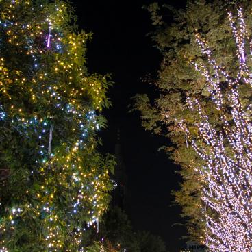 Illuminations at Shinjuku Southern Terrace 5