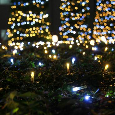 Illuminations at Shinjuku Southern Terrace 6