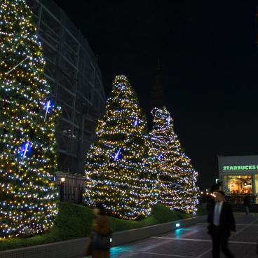 Illuminations at Shinjuku Southern Terrace 2