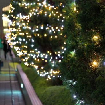 Illuminations at Shinjuku Southern Terrace 3