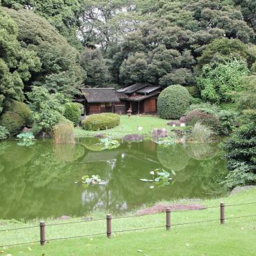 Tokyo National Museum, Japanese garden and tea house