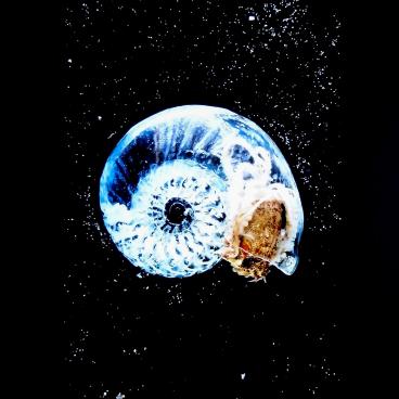 Towada Contemporary Art Museum, Exhibition of contemporary art 6