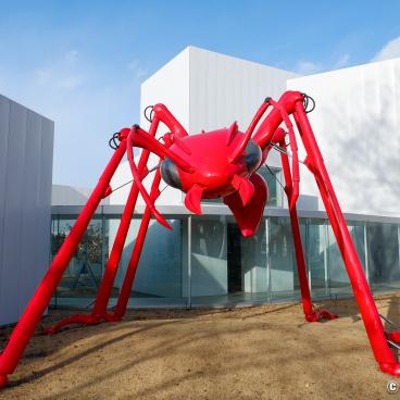 Towada Contemporary Art Museum, Exhibition of contemporary art 7