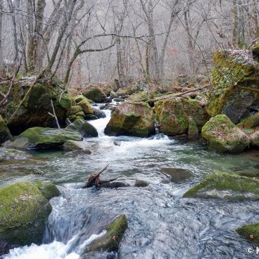 Oirase River and Gorge (Towada)
