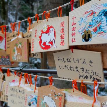 Towada shrine on the shore of Lake Towada, ema plates