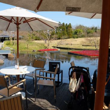 Kyoto Railway Museum, Kyoyasai Restaurant in Umekoji Park 2