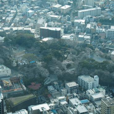 Landmark Tower (Yokohama), View on Komon-yama Park